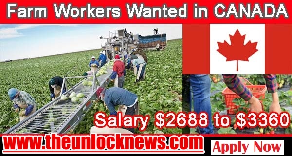 New Jobs in Canada for foreigner 2021