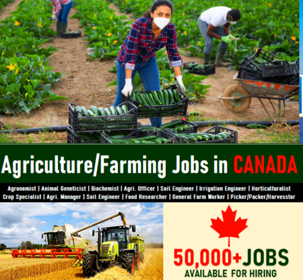 Agriculture Labour Jobs in Canada for 2023