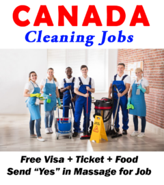 Cleaner Job in Canada