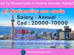 2023 Most In-Demand Jobs in Ontario Canada