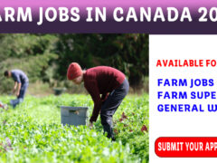 Farm Supervisor Jobs in Canada for the Foreigner 2023-2024