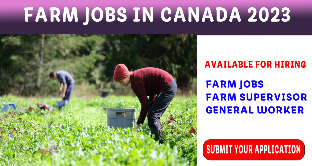 Farm Supervisor Jobs in Canada for the Foreigner 2023-2024