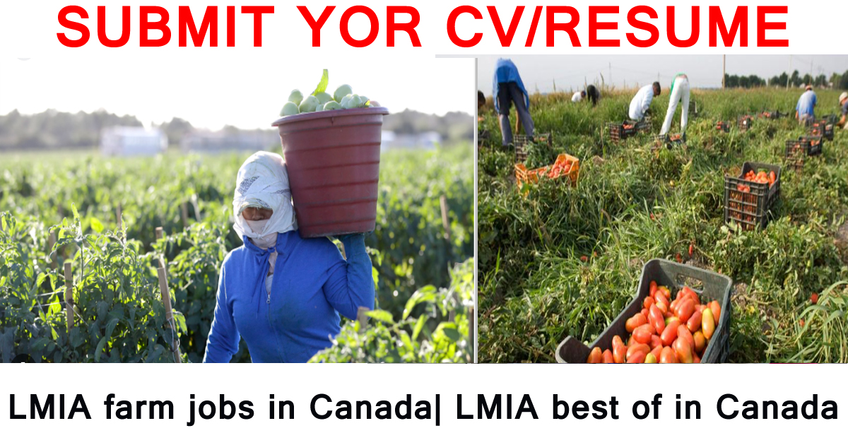 LMIA farm jobs in Canada