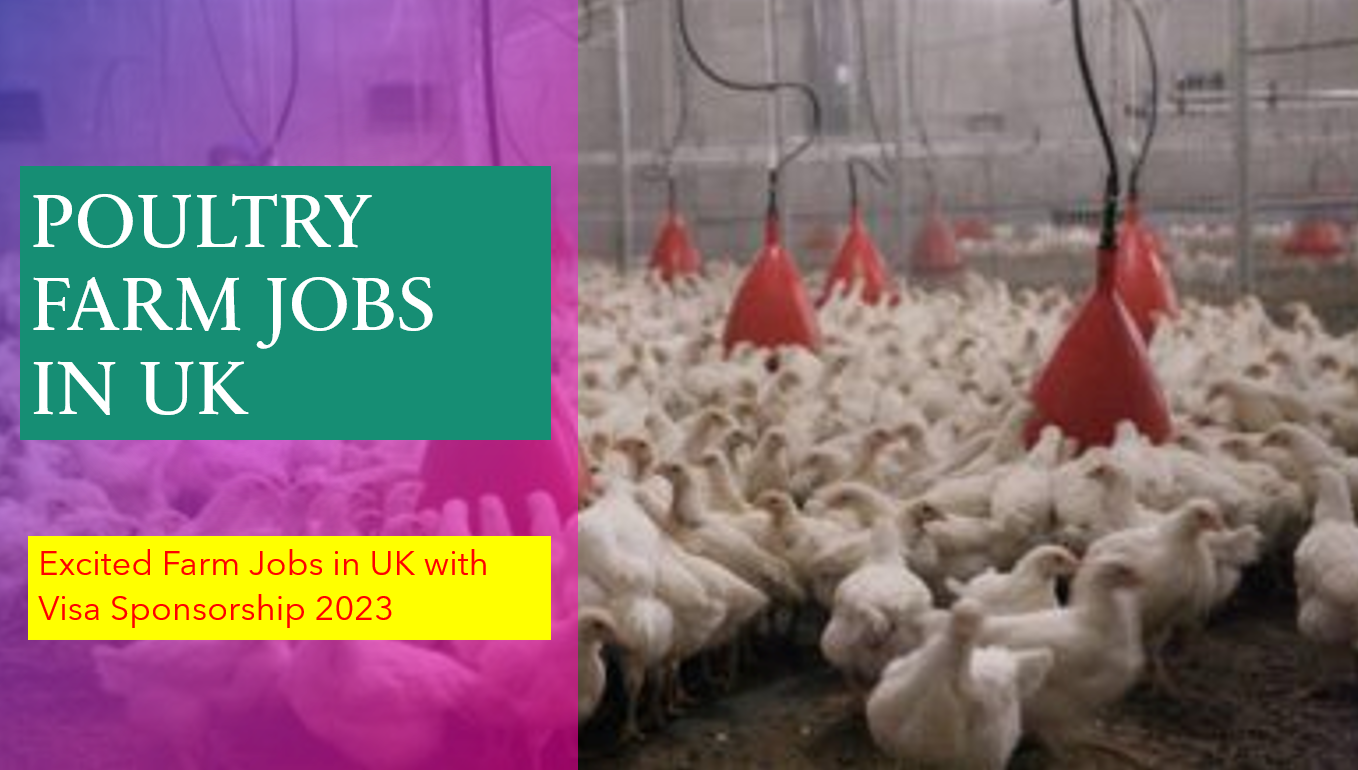 Excited Farm Jobs in UK with Visa Sponsorship 2023