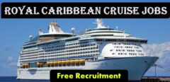 Summer Internship at Royal Caribbean Group