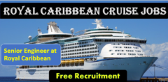 Senior Engineer at Royal Caribbean