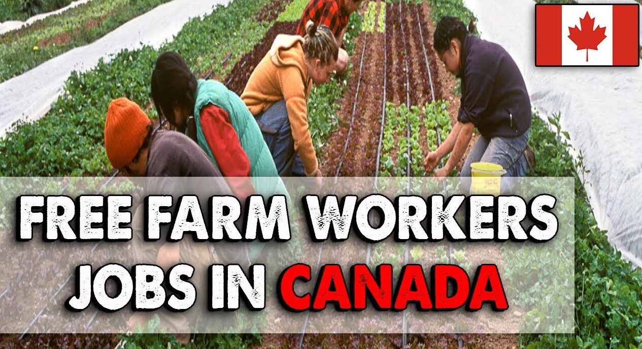 Farm Worker Jobs in Canada