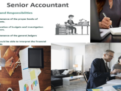 Opportunity for Senior Accountant in USA