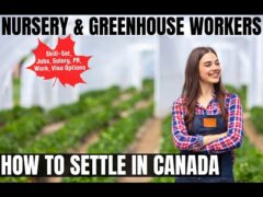 LMIA Qualified Jobs in Canada