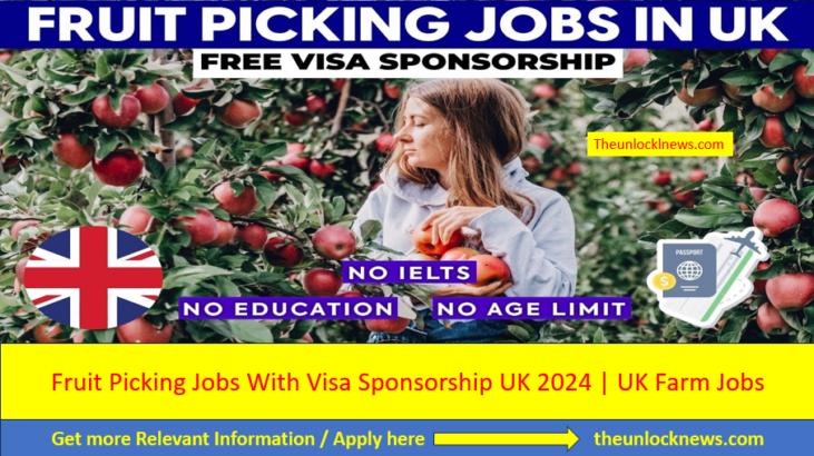 Fruit Picking Jobs With Visa Sponsorship UK 2024