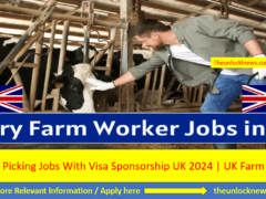 Dairy Farm Jobs in the UK With Visa Sponsorship